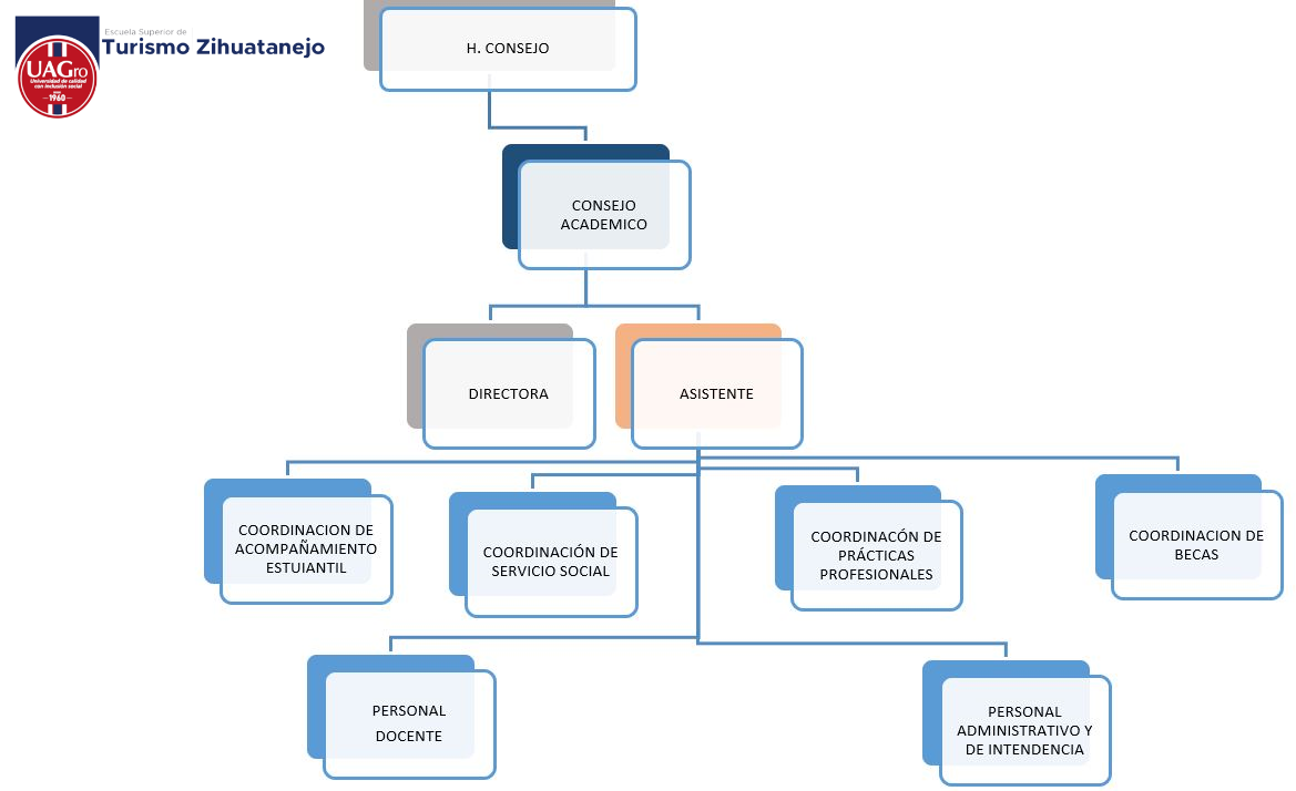 ORGANIGRAMA